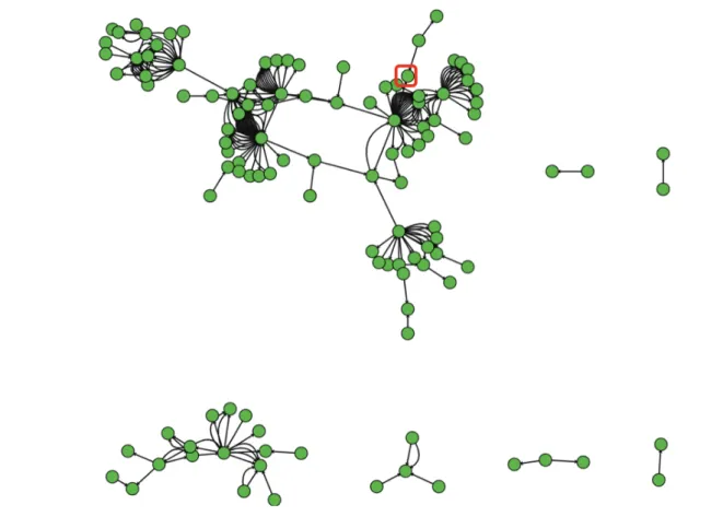 Figure 2 : Liens financiers 