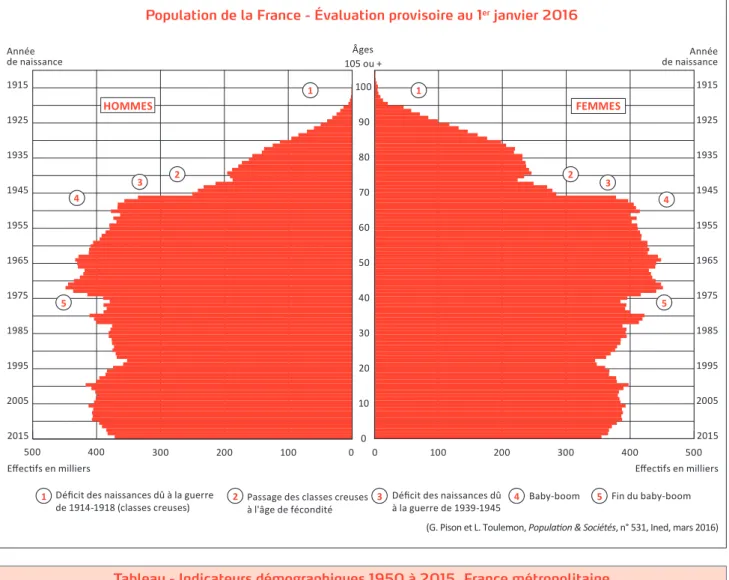 Tableau - Indicateurs démographiques 1950 à 2015, France métropolitaine