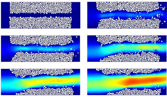 Figure 8. Series of snapshot from a simulation of piping erosion with the coupled LB-DE method for i = 12.7 × 10 −4 