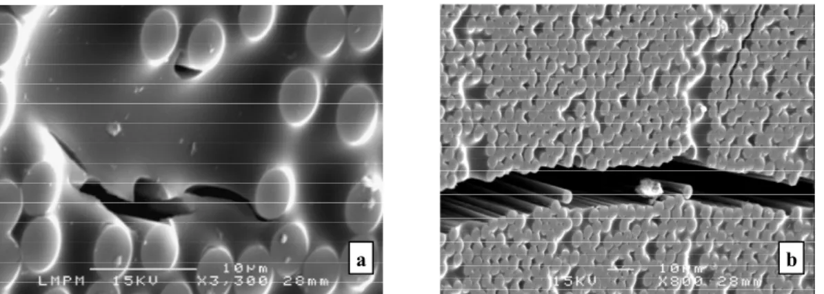 Fig. 2: Photos MEB du chant d’éprouvettes composites ayant subi 100 cycles thermiques  -50°C/180°C (a) et 500 cycles -50°C/180°C (b) sous air atmosphérique [3]