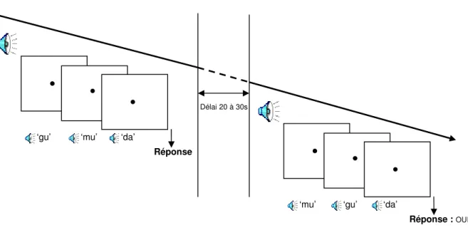 Figure 10. Illustration de la présentation des stimuli de la tâche concurrente verbale 