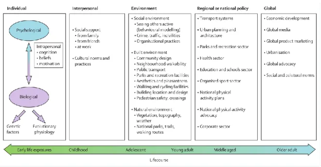 Figure 2. Adapted ecological model of the determinants of physical activity 