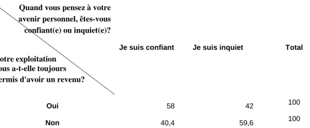 Tableau 2: Relation entre le revenu dégagé, et la confiance en l'avenir (en pourcentage) 