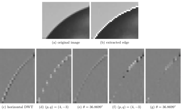 Figure 6. Figures (c) to (g) represents the high frequency subband of the image (a) after a standard DWT along the lines (c), a (p, q)-lifting scheme not using edge position and using it (d and f), a θ-lifting scheme not using edge position and using it (e