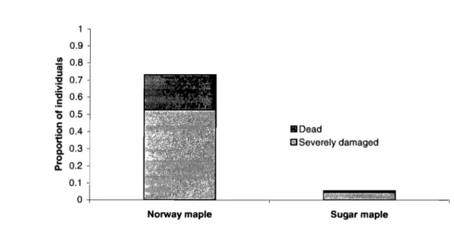 Figure 3.1  Health status  of Norway maple  (n  =  194)  and sugar maple (n  =  110) 