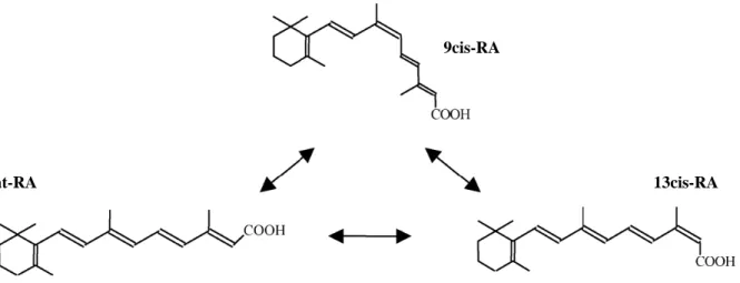 Figure 7  : Structure des trois isomères naturels de l’acide rétinoïque (d’après  Armstrong et al., 2005)
