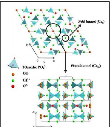 Fig. 1.17 : Projections de la structure de l’hydroxyapatite sur les plans (001) et (010)