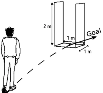 Figure 1.1 – Illustration from [ALHB08]. Example of goal reaching experiments of real humans with motion capture devices.
