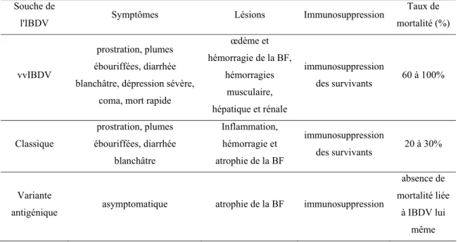 Tableau 1. Symptômes et lésions liés à IBDV selon la souche virale  Souche de 