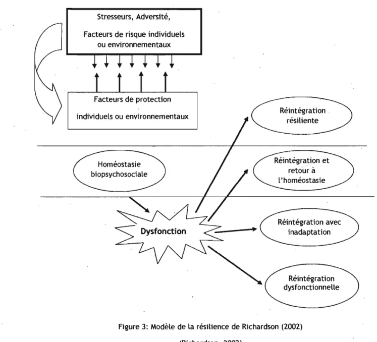 Figure 3:  Modèle de la résilience de Richardson  (2002)  (Richardson,  2002) 