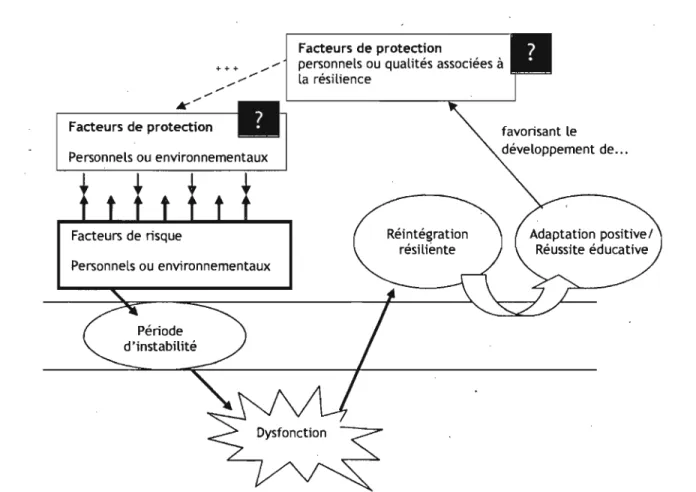 Figure 4:  Adaptation du  modèle de la résilience de Richardson 