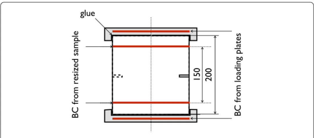 Fig. 8 Locations of the two types of BC