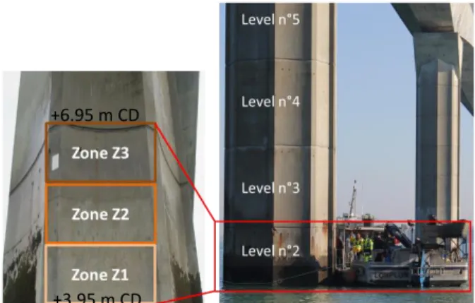 Figure 3. Top view of the pier with the investigated  faces FC and FG 