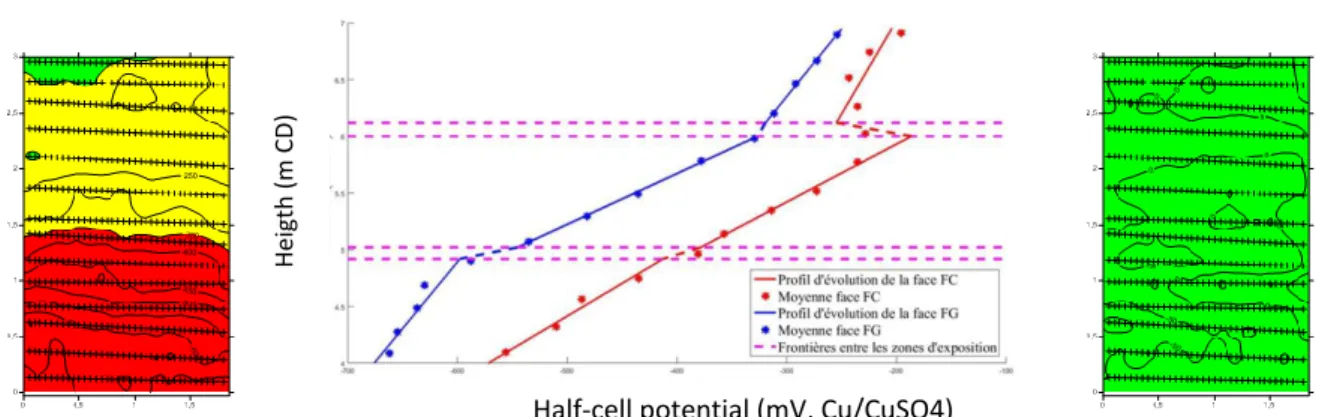Figure 6. Potential mapping with ASTM C876 analysis (left), model of half-cell potential reference profiles  (middle) and reliable potential mapping (right) for pile PN face FC 