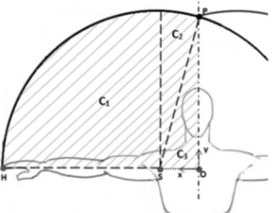 Figure 3. Static model of reach envelope (shaded area) of the arm calculated from external   anthropometric dimensions of the subject