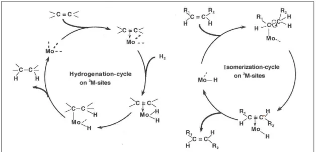 Figure 19 : Cycles catalytiques de l'hydrogénation et de l'isomérisation d’oléfines sur MoS 2  [159] 