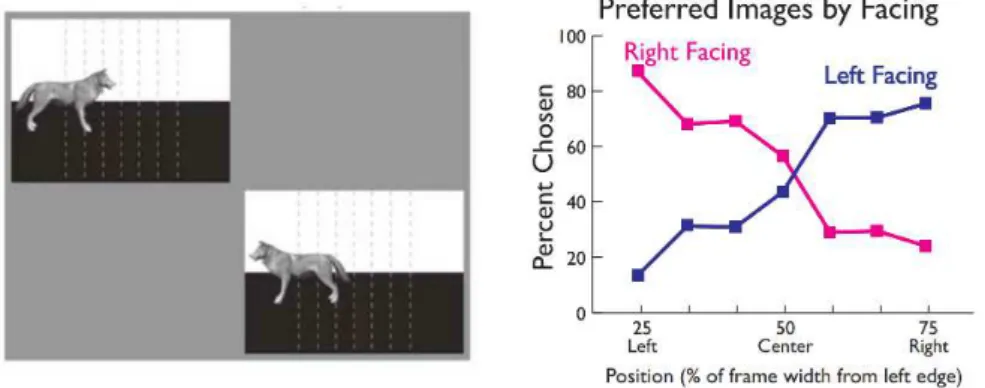 Figure 2.3: Objects placement and facing bias studied by Gardner et al. [43].