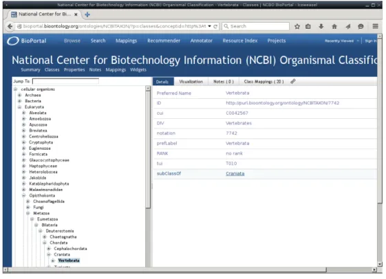 Figure 2.3: The NCBI Taxonomy of species is a (deep) tree-like hierarchy.