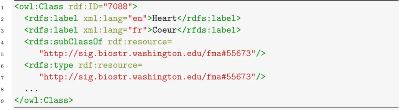 Figure 3.4: Representing the original FMA metaclasses and subclasses structure in OWL-Full (concept 7088 is the heart; concept 55673 is “Organ with cavitated organ part”).