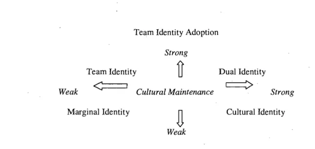 Figure 4.  Acculturation strategies of employees with Non-Dutch backgrounds at work. 