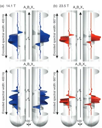 Figure 2 shows the spatial distribution of the magnetization corresponding to the coherences A + B 