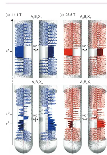 Figure 5. The spatial variation of the magnetization calculated at the end of gradient-encoded Reburp 180 ∘ pulse of 60 ms at (a) 14.1 T and (b) 23.5 T, for (top) A 