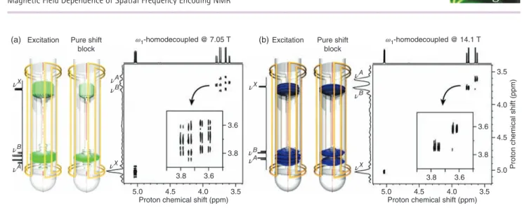 Figure 6. The amplitude profiles calculated after the gradient-encoded excitation pulse and at the end of the pure shift block of a 2-D 1 H 