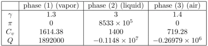 Table 1: Physical parameters.