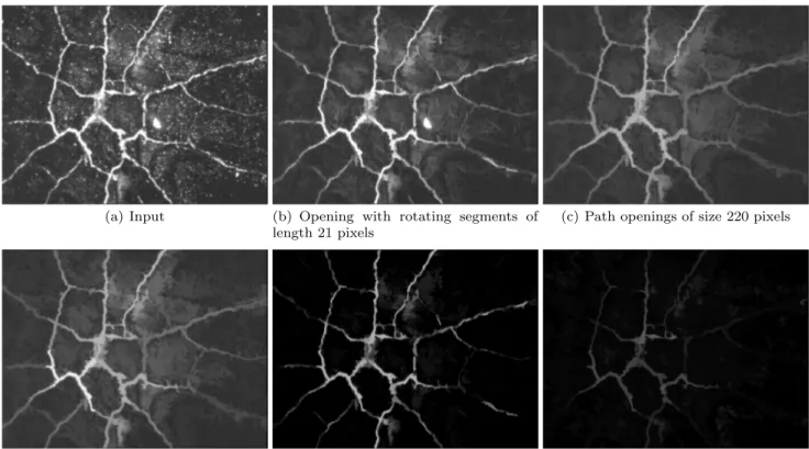 Fig. 10 Crack detection: to detect these thin structures, we use five different methods