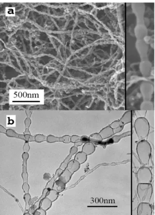 Figure 10 – Micrographies MEB (a) et MET (b) des nanostructures de carbone de type “collier de perles” issus du procédé  triphasé [28]