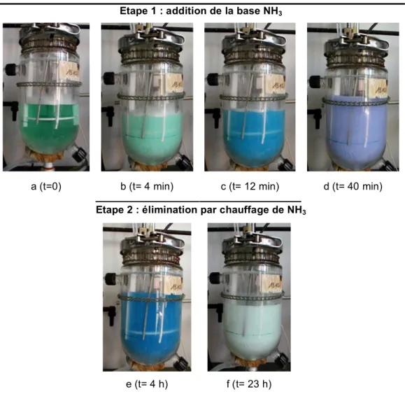 Figure  8.  Evolution  de  l’aspect  du  milieu  réactionnel  lors  de  l’addition  de  la  base  complexante  NH 3   (40  min  à  25°C)  et  lors  de  sa  décomplexation  thermique  (60°C),  en  présence de didodécylsulfate de nickel Ni(DS) 2 