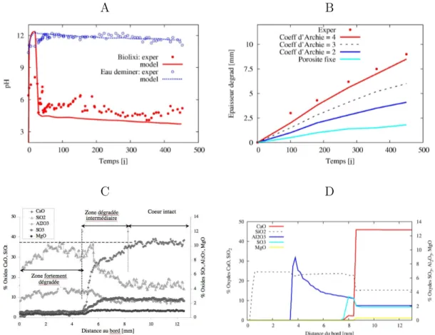 Figure 3.8 – A : évolution du pH dans le bioréacteur (eau déminéralisée comme référence), B : effet du coefficient d’Archie sur le calcul de la profondeur dégradée ; C et D : distributions expérimentale et calculée des éléments chimiques de la pâte de cime
