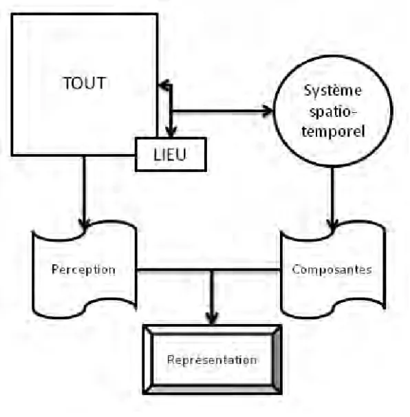 Fig. 2 : La représentation comme interaction entre la perception du Tout et des composantes du système spatio-temporel