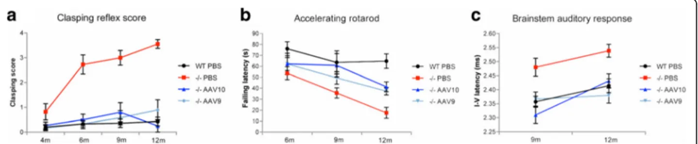 Fig. 2 Intrathecal gene therapy provides long-term neurologic correction. Pompe mice ( − / − ) were injected at 1 month in the cisterna magna with 10 11 vg of AAVrh10-CAG-hGAA (n = 12) or AAV9-CAG-hGAA (n = 12) or PBS (n = 11) and their neurologic function