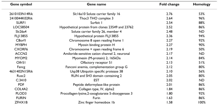 Table 3: Examples of up-regulated genes in DM semitendinosus.