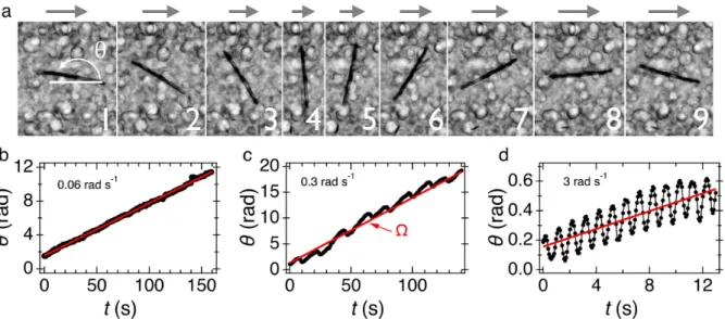 Figure 2: a) Chronophotograph of a 43 µm wire undergoing a 