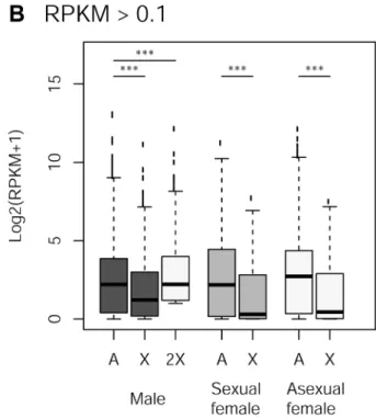 Figure 4. Expression rate of X-linked and autosomal genes in males, sexual females and asexual females