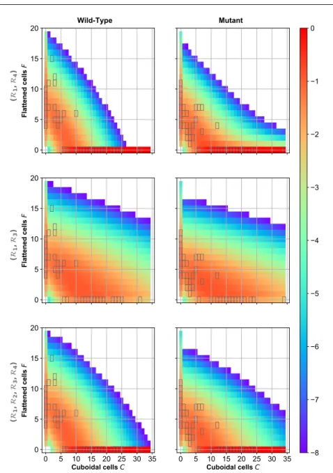 Fig. 5 Two-event submodels and full model: best fit trajectories. Using Eqs.(15)- Eqs.(15)-(17), we compute each probability P [F c = f] for submodels (R 1 , R 4 ) (top-panels), (R 1 , R 3 ) (middle panles) and the full model (R 1 ,R 2 , R 3 , R 4 ) (botto