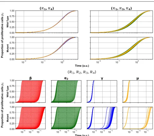 Fig. 8 Dynamics of the proportion of proliferative cells p C (t). For sub- sub-model (R 1 ,R 4 ) (top left panels), (R 1 ,R 3 , R 4 ) (top right panels) and whole model (R 1 , R 2 ,R 3 , R 4 ) (bottom panels), we plot the deterministic proportion of prolif