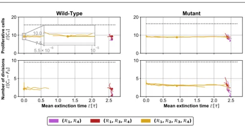 Fig. 9 Prediction of the mean number of proliferative cells at the precursor cell extinction time, and mean number of division events during follicle activation.