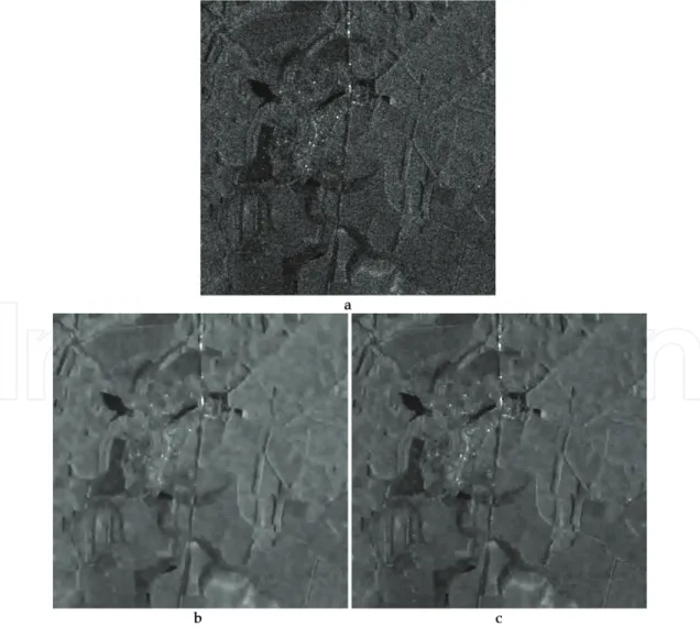 Figure 5. Original (noisy) image (a) and outputs of Filter 3 (b) and filters in [20].