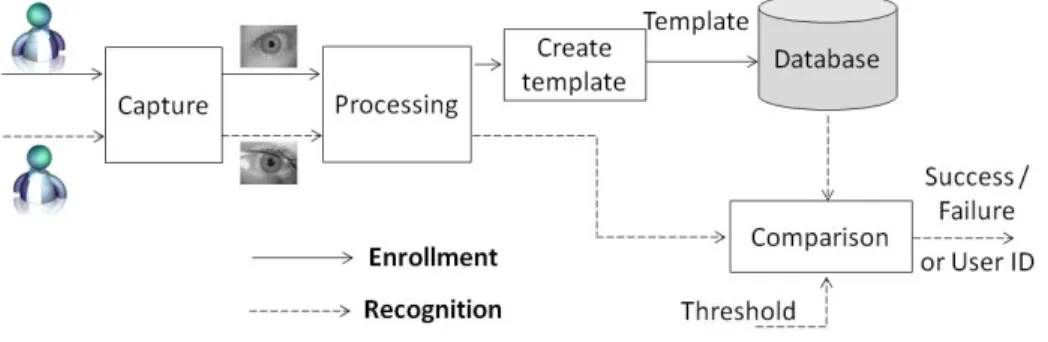 Fig. 1. Basic idea of a biometric based person recognition system. In verification mode, the result of the comparison is either success or failure