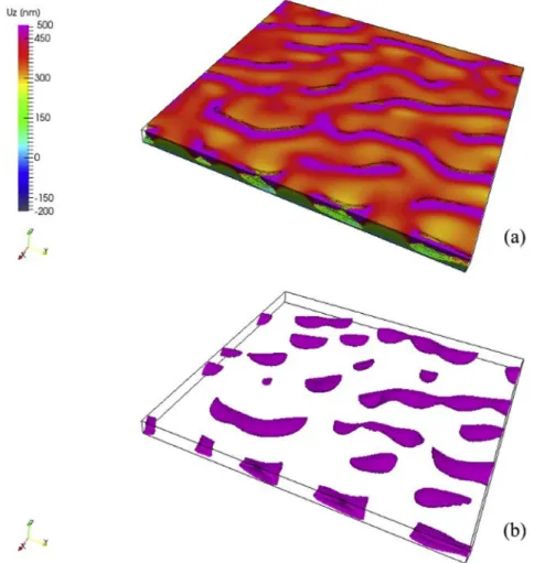 Fig. 4. Thin ﬁ lm ﬁ rst lithiation results (a) vertical displacement in nm on a mesh having the elements with a d higher than 0.95 removed for cracks visualization purposes, (b) iso-0.95 contour of d.