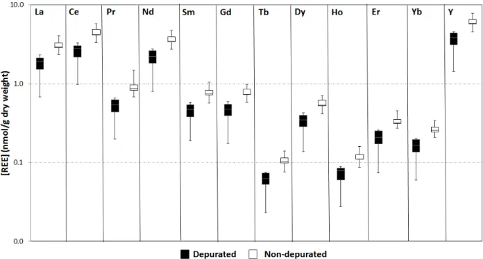 Figure 4. Concentrations of different REEs (on a log scale) in chironomids that were either  depurated or not depurated
