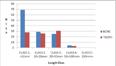 Figure 4.2.4- Relative proportions of length classes for the unidentified fragments in Level II/2-1