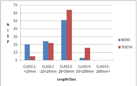 Figure 4.3.4- Relative proportions of length classes for the unidentified fragments in Level II/2