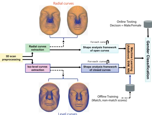 Fig. 1: Outline of the proposed 3D face gender classification approach.