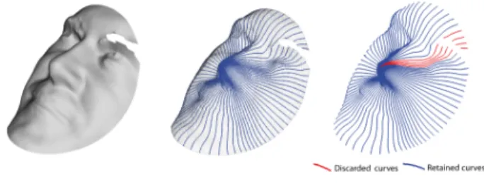 Figure 3: Radial curves extraction and quality filter application.