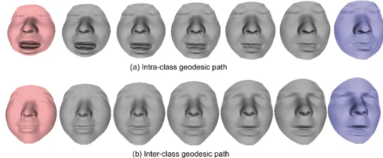Figure 5: Examples of intra-class geodesic (top row), and inter-class geodesic (lower row).