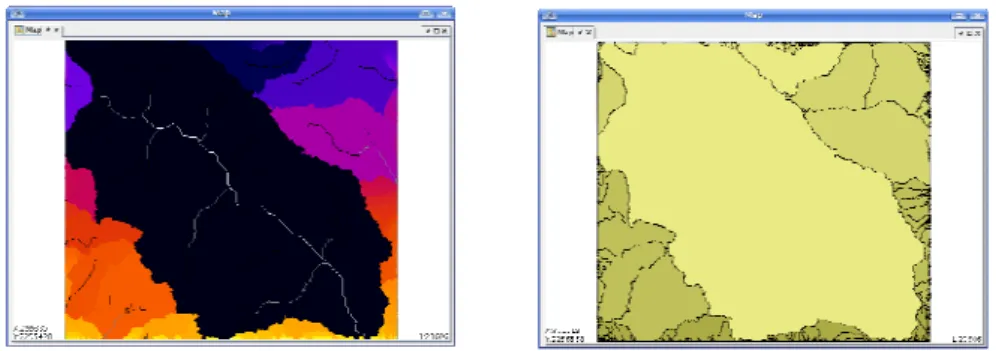 Fig. 7. Watershed as raster data and as polygons